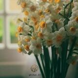 •| ریحآن |•