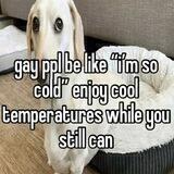 [BASED] DOG MONTH