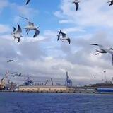 رویاهای آبی💙