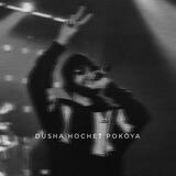 𝓓𝓾𝓼𝓱𝓪 🖤