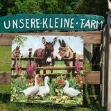 Die kleine Farm oder meine Anderswelt 🍀🍀🌼🌼Lebenshof ...🦤🐓🐑🐶🐱🐰🍀🍀🍀🍄🍄🍄