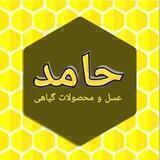 عسل حامد | Asale Hamed