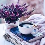 اليـــآاقــــووِوتــُــِهۂُ «🌻 محـــذوف