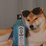 Джун