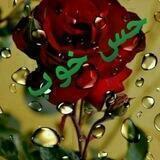 💜💚حـــس💛 خـــــوب💚 💜