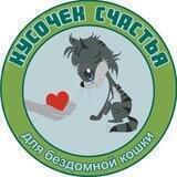 Кусочек счастья для бездомной кошки 🐈