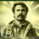 Şehîdên Me