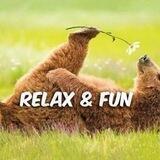 🙃 FUN & RELAX 🙂