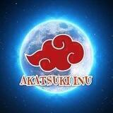 AKATSUKI INU