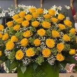 🌹🌹گل خاله مامه🌺🌺