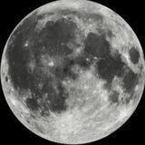 Armoon
