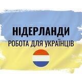 Робота українцям в Нідерландах