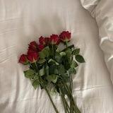 دِيـار