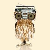 ☮️chill cafe☮️🦉