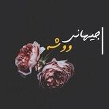 🌍جیهانی ووشە🌍