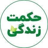 حکمت زندگی