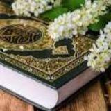 قناه المصداقية والأمانة والثقه❤️"Hamo Wael"