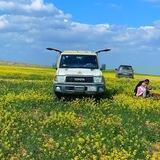 نواف الحازمي⛺️☘️⛈