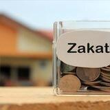 Zakot_fitr 🇺🇿 571
