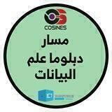 مسار دبلوما علم البيانات