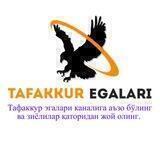 Tafakkur egalari