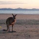 Homeschooling Australia 🇦🇺