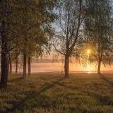 Вятские пейзажи| Фотограф, гид Евгений Карепанов