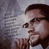 Bağımsız İslami hareket