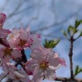يوُمـٰيات إمـٰرأةً👩🌾