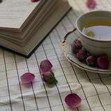 tsokidze | книжный блог