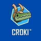 Croki | KYC Launch Pad 2022