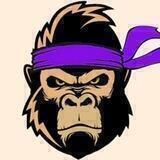 🦍 The Great Ape Presale 🚀