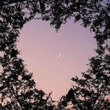 Thought ♡