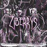 ziberrys — clos