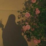النبراس •
