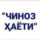 ЧИНОЗ ҲАЁТИ