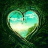 ☯️Heilkräfte der Natur☯️