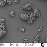 Magnetic Beads Covid-Vaxx INTOX