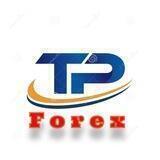 T.P FOREX تی پی فارکس