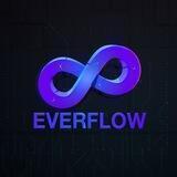 EverFLOW