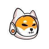 AnimeDoge TK Community 🇹🇷