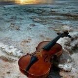 عازف الجيتار 🎸