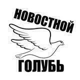 НОВОСТНОЙ ГОЛУБЬ