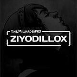 Ziyodillox official | channel