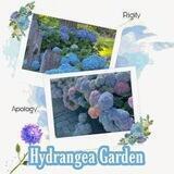 っ`𝓗 ydrangea 𝓖ardens°❀
