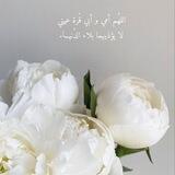 ◝ بِذِكْرِ اللّٰه نَطمّئِنّ 💛. ◟‏
