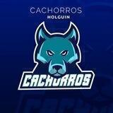⚾️ CACHORROS DE HOLGUÍN 🐶