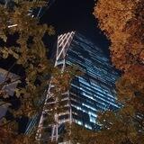 대세산업 트레이딩