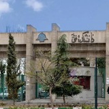 فنی‌کدگان