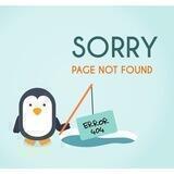 404 Information